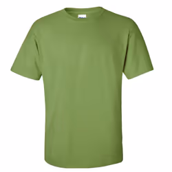 Gildan Mens Ultra Cotton Short Sleeve T-Shirt - M, Kiwi