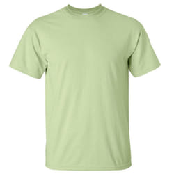 Gildan Mens Ultra Cotton Short Sleeve T-Shirt - L, Pistachio