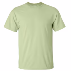 Gildan Mens Ultra Cotton Short Sleeve T-Shirt - XL, Pistachio