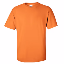 Gildan Mens Ultra Cotton Short Sleeve T-Shirt - L, Tangerine