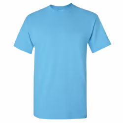 Gildan Mens Heavy Cotton Short Sleeve T-Shirt - 2XL, Antique Irish Green