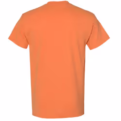 Gildan Mens Heavy Cotton Short Sleeve T-Shirt - S, Antique Jade Dome