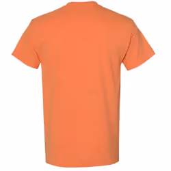 Gildan Mens Heavy Cotton Short Sleeve T-Shirt - L, Antique Jade Dome