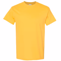 Gildan Mens Heavy Cotton Short Sleeve T-Shirt - M, Daisy