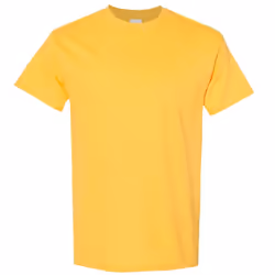 Gildan Mens Heavy Cotton Short Sleeve T-Shirt - XL, Daisy