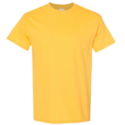 Gildan Mens Heavy Cotton Short Sleeve T-Shirt - XL, Daisy