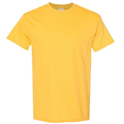 Gildan Mens Heavy Cotton Short Sleeve T-Shirt - 2XL, Daisy