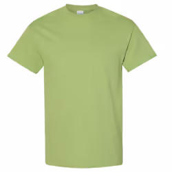 Gildan Mens Heavy Cotton Short Sleeve T-Shirt - S, Kiwi