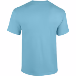 Gildan Mens Heavy Cotton Short Sleeve T-Shirt - L, Sky