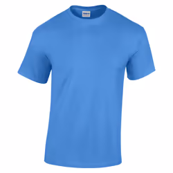 Gildan Youth Unisex Heavy Cotton T-Shirt - XS, Carolina Blue