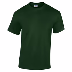 Gildan Youth Unisex Heavy Cotton T-Shirt - XL, Forest Green