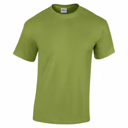 Gildan Youth Unisex Heavy Cotton T-Shirt - XS, Kiwi