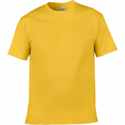 Gildan Mens Short Sleeve Soft-Style T-Shirt - 2XL, Daisy