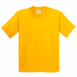 Gildan Childrens Unisex Soft Style T-Shirt - XS, Daisy