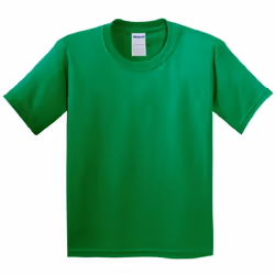 Gildan Childrens Unisex Soft Style T-Shirt - XS, Irish Green