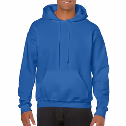 Gildan Heavy Blend Adult Unisex Hooded Sweatshirt / Hoodie - S, Royal