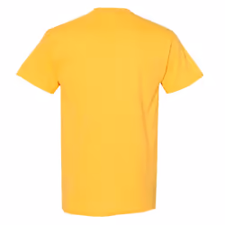 Gildan Mens Heavy Cotton Short Sleeve T-Shirt - M, Charcoal