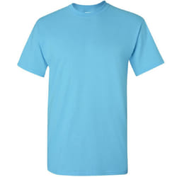 Gildan Mens Ultra Cotton Short Sleeve T-Shirt - L, Sky