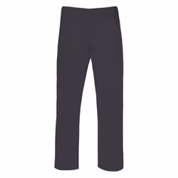 Regatta Mens New Action Trouser (Regular) / Pants - 28W x Regular, Dark Grey