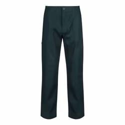 Regatta Mens New Action Trouser (Regular) / Pants - 46W x Regular, Green