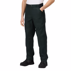 Regatta Mens New Action Trouser (Regular) / Pants - 46W x Regular, Green