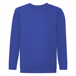 Fruit Of The Loom Childrens Unisex Set In Sleeve Sweatshirt - 12-13, Royal