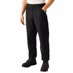 Regatta Mens New Lined Action Trouser (Short) / Pants - 38W x Short, Black
