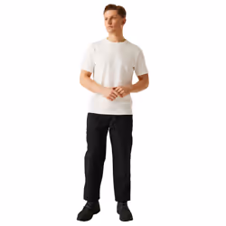 Regatta Mens New Lined Action Trouser (Short) / Pants - 38W x Short, Black