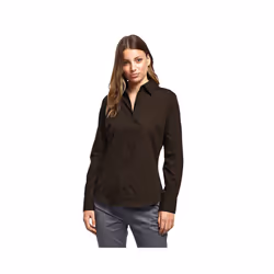Premier Womens/Ladies Poplin Long Sleeve Blouse / Plain Work Shirt - 8, Brown