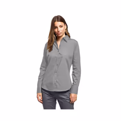 Premier Womens/Ladies Poplin Long Sleeve Blouse / Plain Work Shirt - 26, Silver