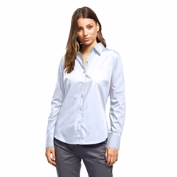 Premier Womens/Ladies Poplin Long Sleeve Blouse / Plain Work Shirt - 14, Light Blue