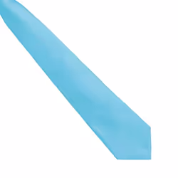 Premier Mens Fashion âColoursâ Work Clip On Tie - One Size, Turquoise
