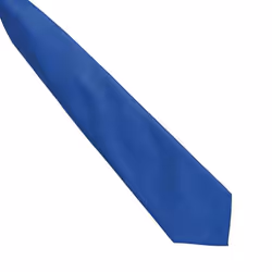 Premier Mens Fashion âColoursâ Work Clip On Tie - One Size, Royal