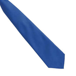 Premier Mens Fashion âColoursâ Work Clip On Tie - One Size, Royal