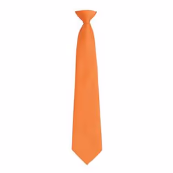 Premier Mens Fashion âColoursâ Work Clip On Tie - One Size, Orange