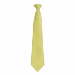 Premier Mens Fashion âColoursâ Work Clip On Tie - One Size, Lime