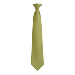 Premier Mens Fashion âColoursâ Work Clip On Tie - One Size, Grass