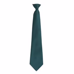 Premier Mens Fashion âColoursâ Work Clip On Tie - One Size, Bottle