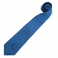 Premier Mens âColoursâ Plain Fashion / Business Tie - One Size, Royal