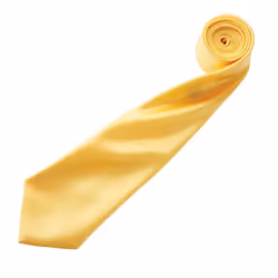 Premier Mens Plain Satin Tie (Narrow Blade) - One Size, Sunflower