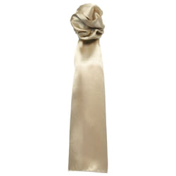 Premier Scarf - Ladies/Womens Plain Business Scarf - One Size, Khaki