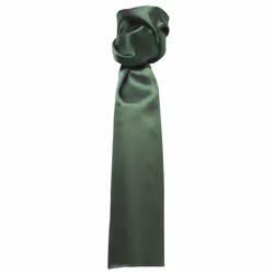 Premier Scarf - Ladies/Womens Plain Business Scarf - One Size, Bottle