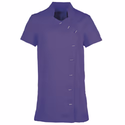 Premier Womens/Ladies *Orchid* Tunic / Health Beauty & Spa / Workwear - 14, Purple