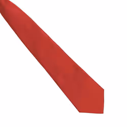 Premier Mens Fashion âColoursâ Work Clip On Tie - One Size, Red