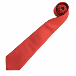 Premier Mens âColoursâ Plain Fashion / Business Tie - One Size, Red