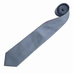 Premier Mens âColoursâ Plain Fashion / Business Tie - One Size, Grey