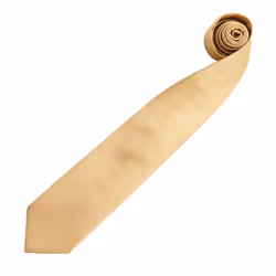 Premier Mens âColoursâ Plain Fashion / Business Tie - One Size, Gold