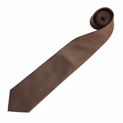 Premier Mens âColoursâ Plain Fashion / Business Tie - One Size, Brown