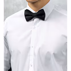 Premier Tie - Unisex Plain Bow Tie