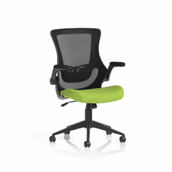 Dynamic Orbit High Mesh Back Task Office Chair With Bespoke Myrrh Gree